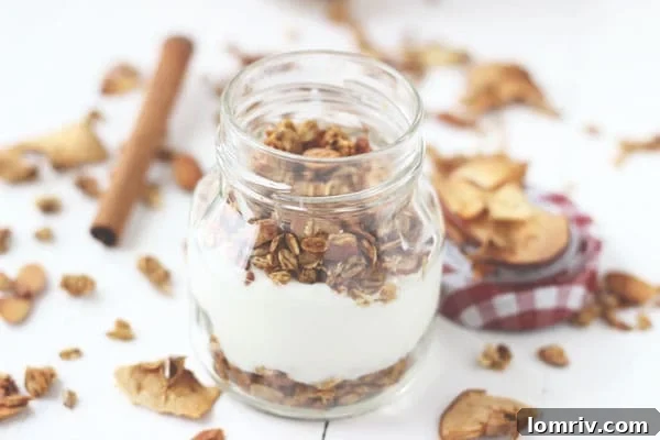 Bowl of Apple Spice Granola