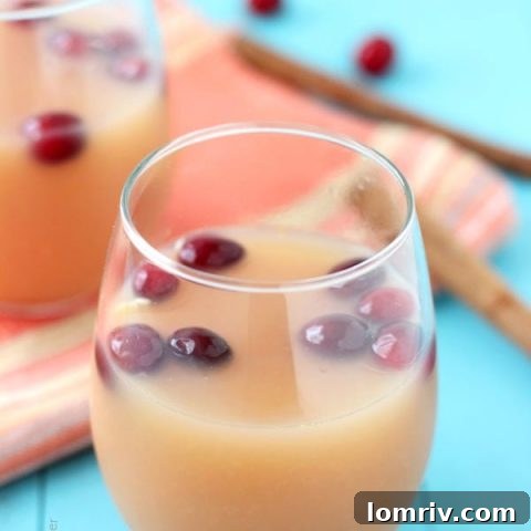 Cinnabon Vodka Brunch Punch - A festive and spiced brunch cocktail