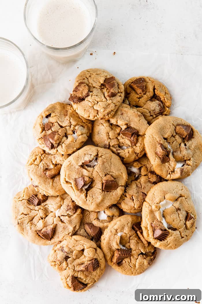 Irresistible Reese's Peanut Butter Marshmallow Cookies