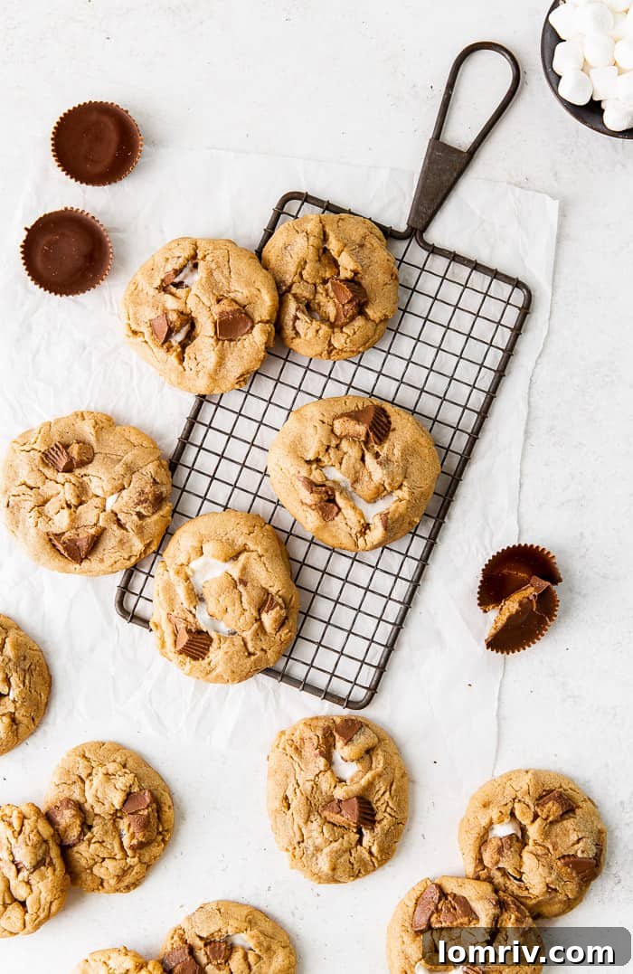 Gooey Reese's Peanut Butter Cookies