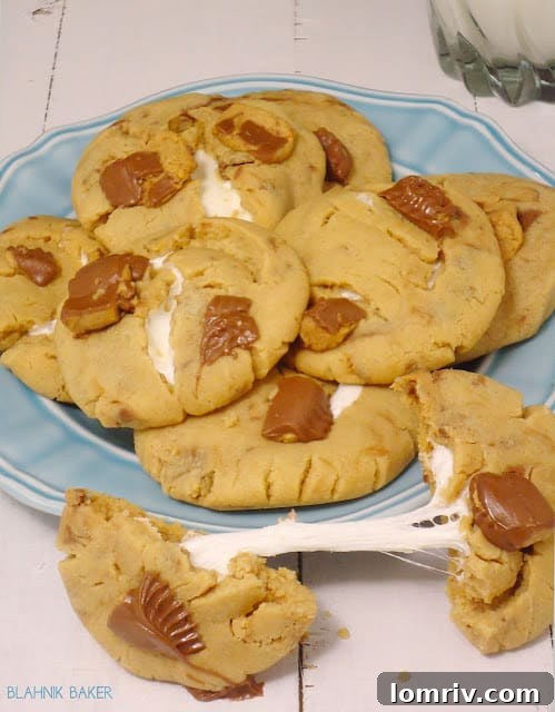 Original Reese's Peanut Butter Marshmallow Cookies - May 2013