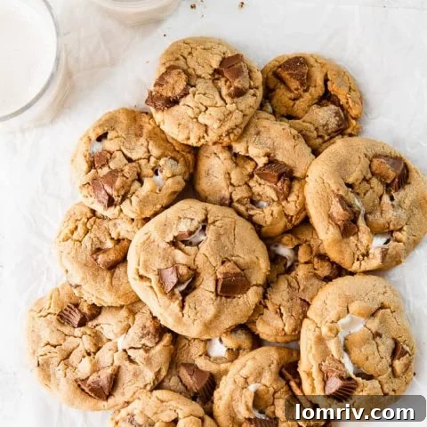 Reese's Peanut Butter Marshmallow Cookies
