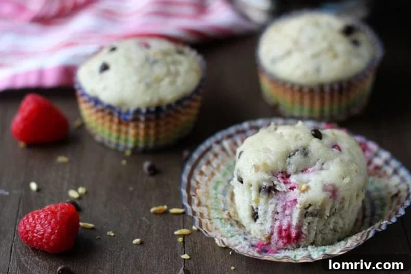 Close-up photo of a warm Chocolate Raspberry Freekeh Muffin, showing its moist crumb and visible raspberries and chocolate.