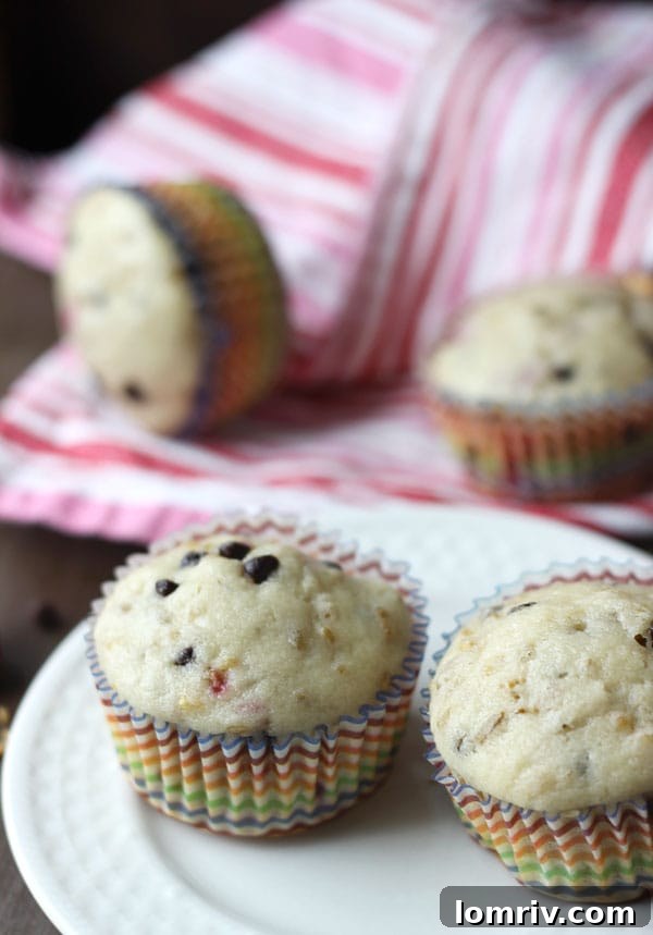 A cluster of freshly baked Chocolate Raspberry Freekeh Muffins, showcasing their rich color and inviting texture.