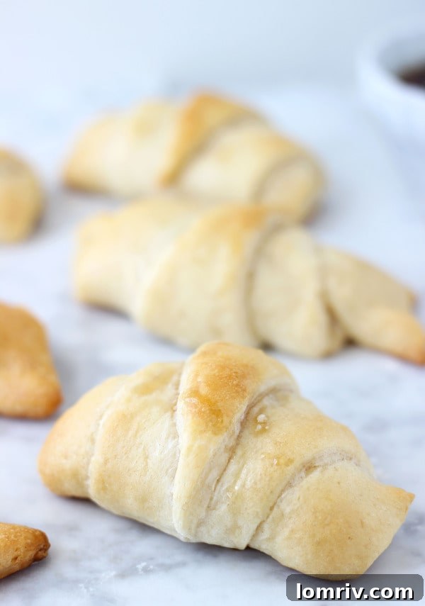 Delicious Caramelized Apples with Goat Cheese Crescents, an ideal appetizer for fall gatherings and entertaining