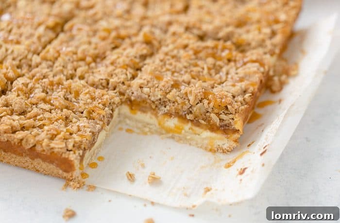 A triple layer of apples, cheesecake and crumb coat make these apple crumble cheesecake bars a different take on a classic fall dessert.