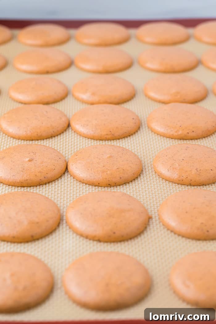 Pumpkin spice latte macarons