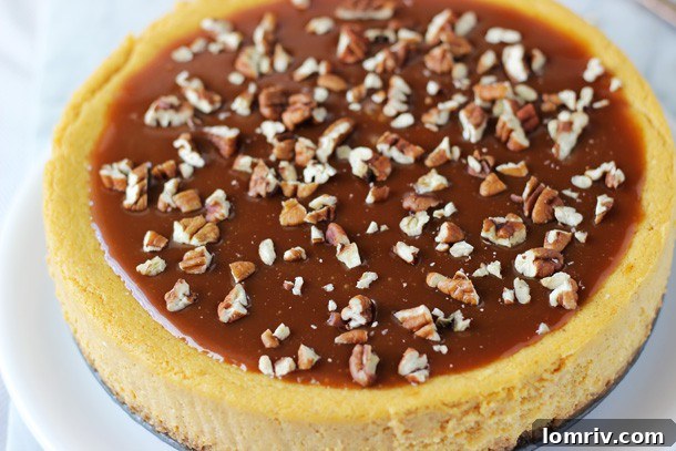 Pumpkin Pecan Cheesecake with Salted Caramel Sauce