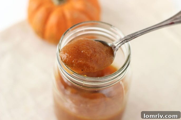 Pumpkin Butter Hand Pies - using homemade slow cooker pumpkin butter for a delicious pie filling
