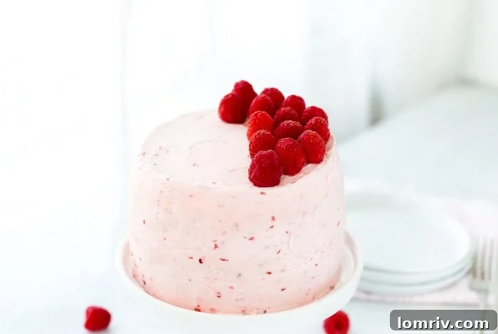 A classic Vanilla Bean Raspberry Layer Cake with moist vanilla bean cake with a sweet raspberry filling and a fluffy whipped vanilla bean frosting!