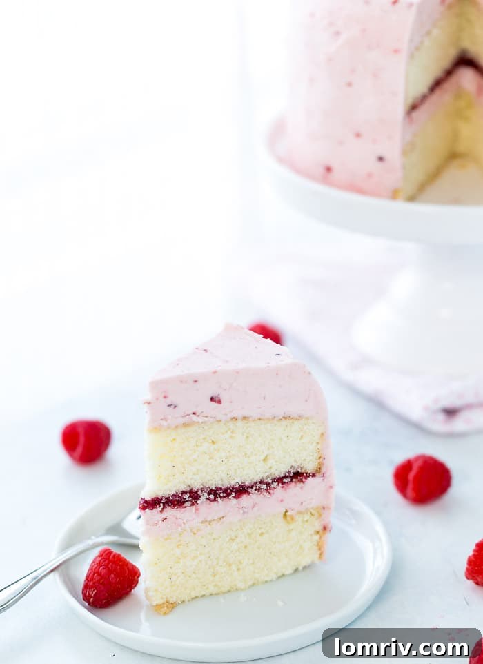 A classic Vanilla Bean Raspberry Layer Cake with moist vanilla bean cake with a sweet raspberry filling and a fluffy whipped vanilla bean frosting!