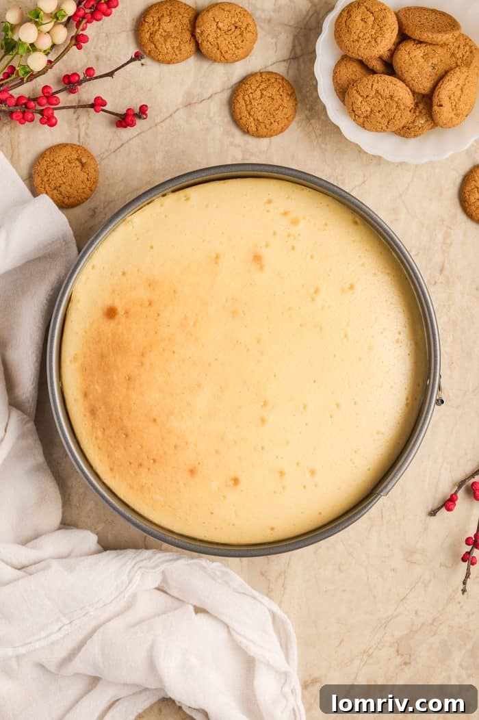 A baked eggnog cheesecake, freshly removed from the oven and cooling.