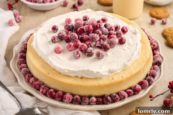 A large slice of creamy eggnog cheesecake topped with whipped cream and sugared cranberries.