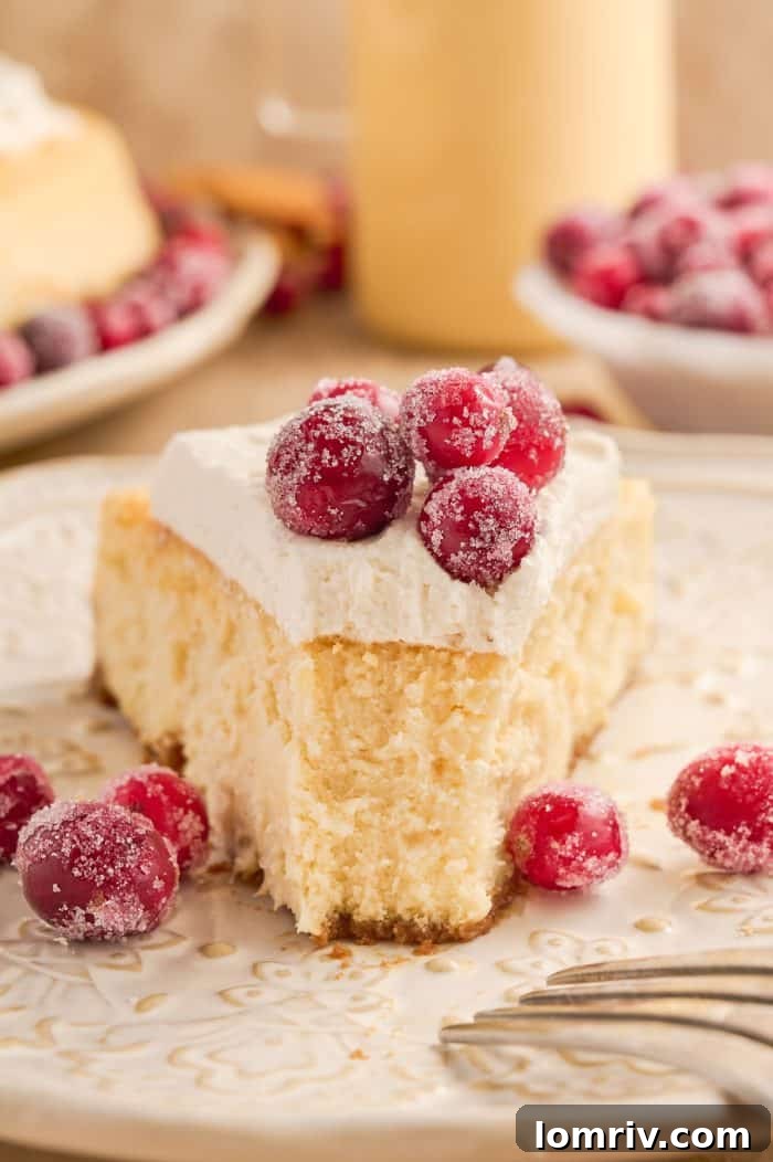 A stunning overhead shot of the creamy eggnog cheesecake with its gingersnap crust.