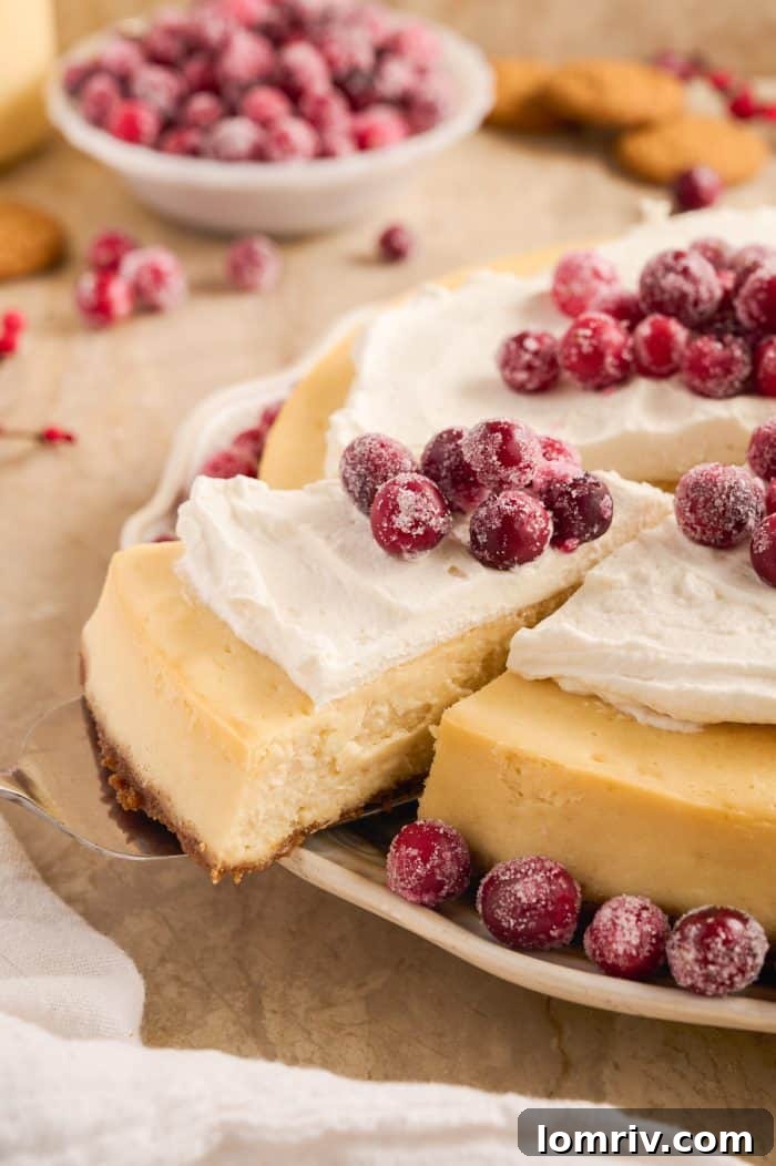 A close-up of a slice of eggnog cheesecake, showcasing its creamy texture and festive appeal.