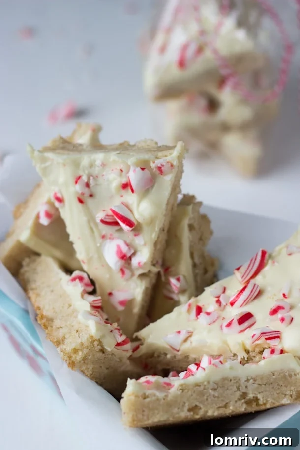 A stunning close-up of the Peppermint Spiced Cookie Bark, showcasing the intricate details of the crushed candy canes and the rich texture of the cookie base.