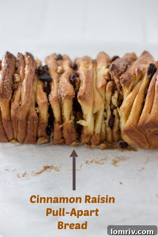Delicious layers of cinnamon, raisins, and nuts within a soft pull-apart bread, ideal for festive gatherings.
