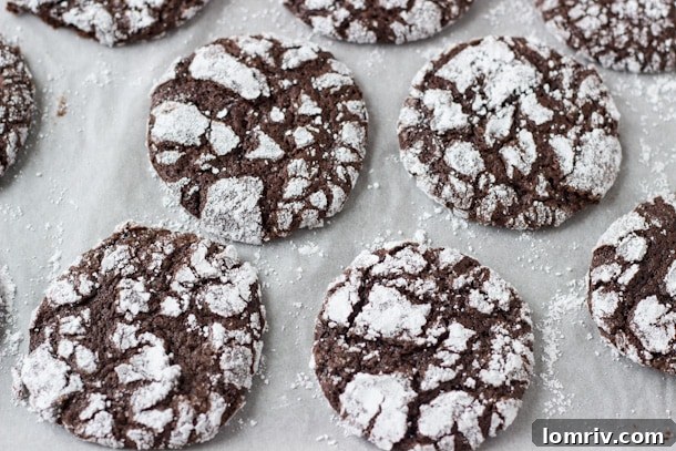 Double Chocolate Crinkle Cookies - deep chocolate flavor with a moist gooey interior!