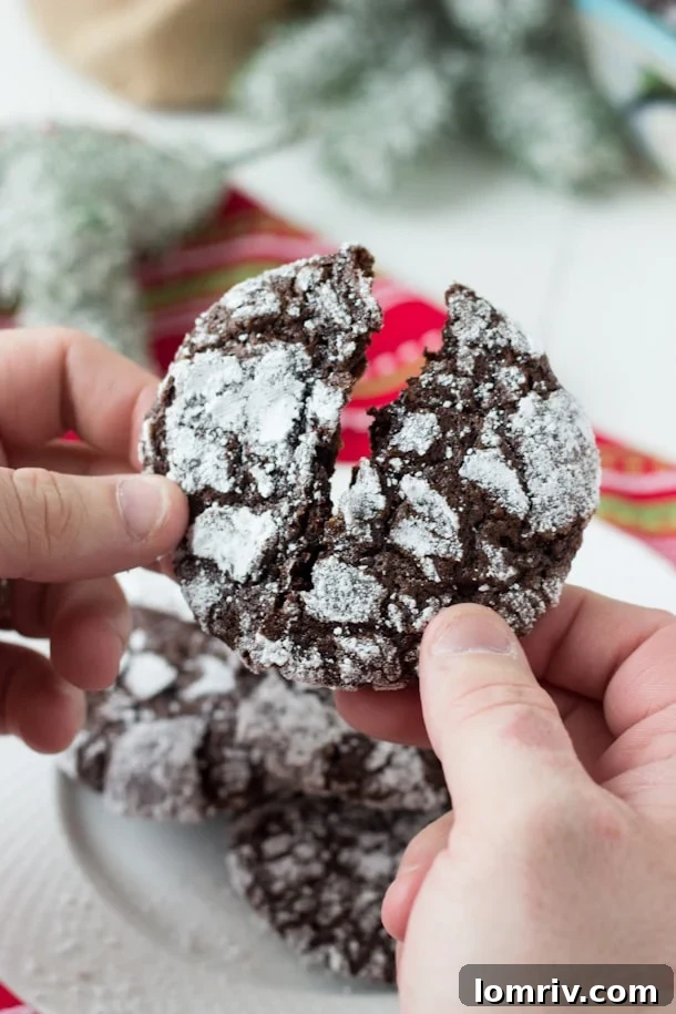 Double Chocolate Crinkle Cookies - deep chocolate flavor with a moist gooey interior!