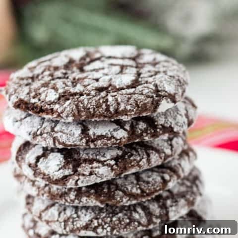 Double Chocolate Crinkle Cookies