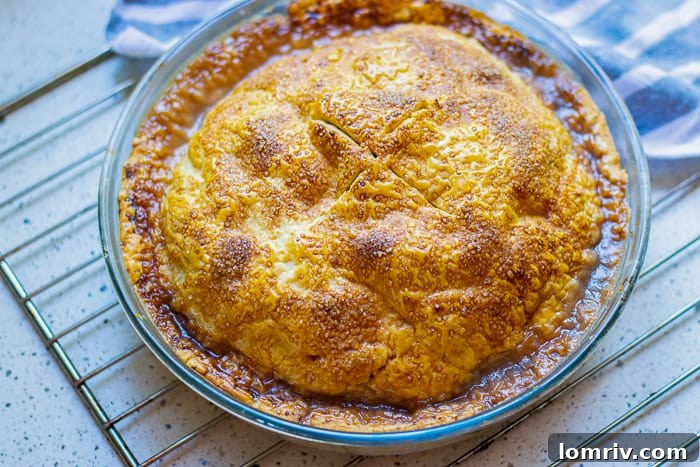 Baked Apple Pie Slice Revealing Juicy Filling