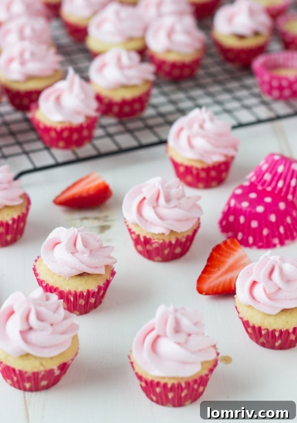 Mini Chocolate Covered Strawberry Cupcakes for Celebrations