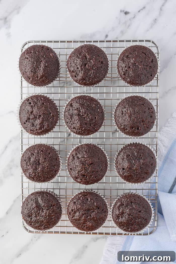 Freshly baked chocolate cupcakes cooling