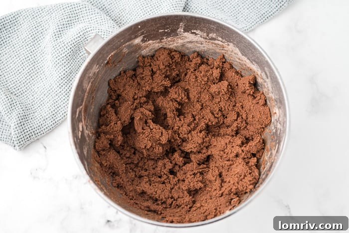 Mixing cookie dough thoroughly
