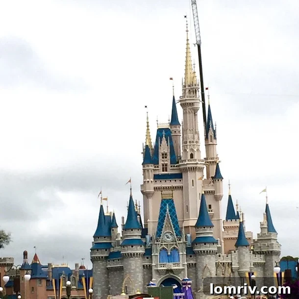 The joy of a first-time visitor at Walt Disney World, with vibrant colors and classic Disney elements, proving magic is real for all ages.