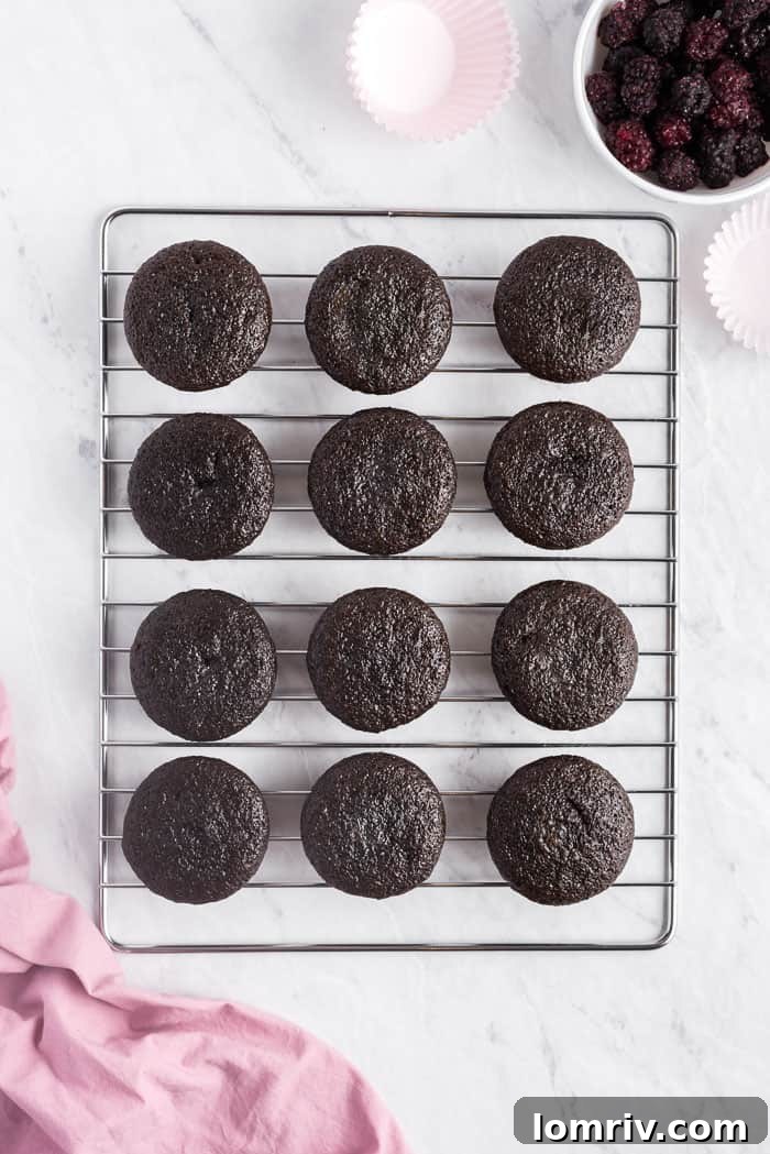 A tray of freshly baked Chocolate Red Wine Cupcakes, ready for frosting