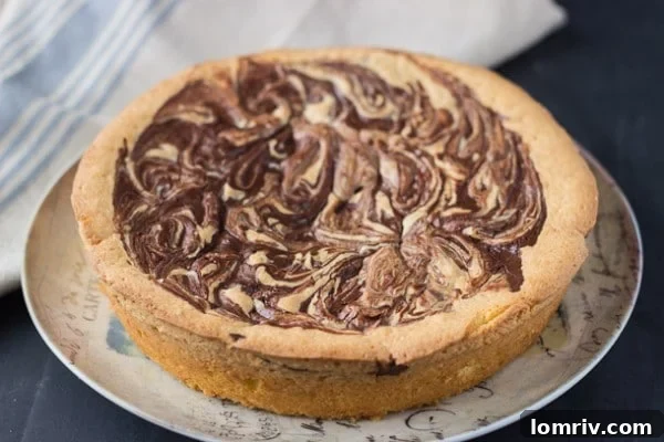 Close-up of a slice of Chocolate Almond Torte, showing its moist texture and chocolate swirl.