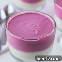 Beets Panna Cotta