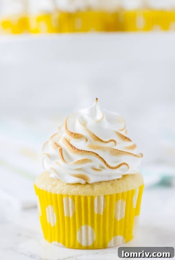 fluffy lemon cupcakes filled with lemon curd and topped with a cloud of marshmallow frosting