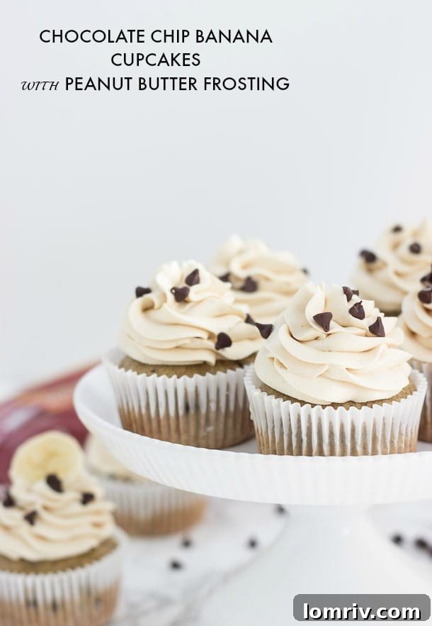 A tray of gourmet Chocolate Chip Banana Cupcakes ready to be frosted