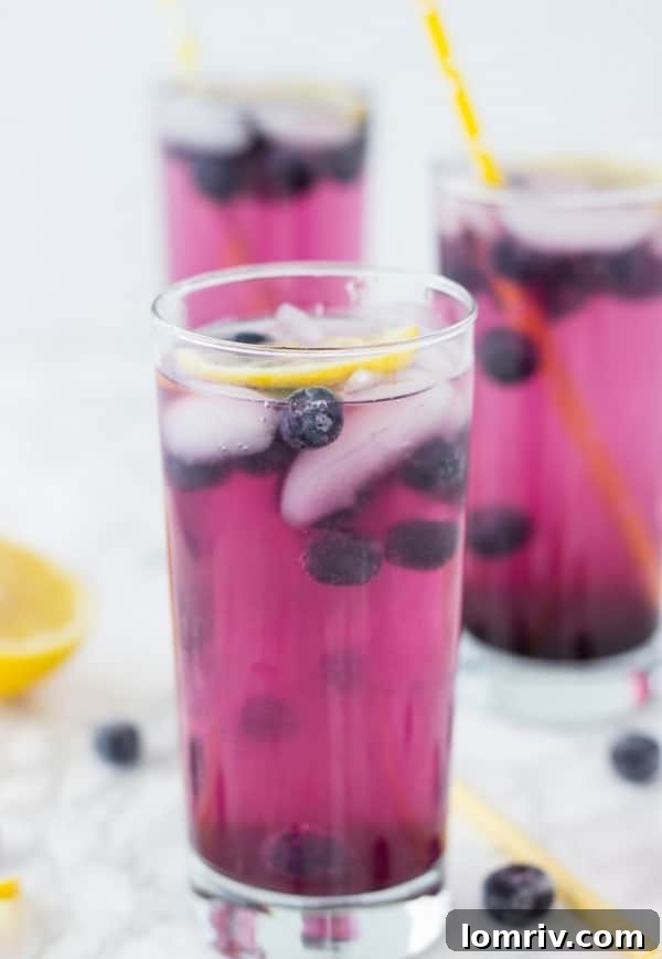 A tall glass of sparkling blueberry lemonade garnished with fresh blueberries and lemon slices.