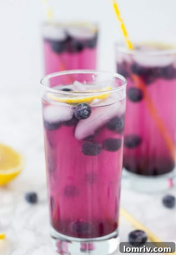 A close-up of sparkling blueberry lemonade in a glass, garnished with fresh blueberries and lemon.