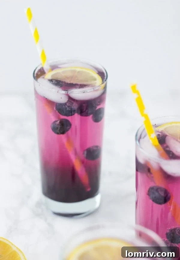 An overhead shot of a glass of sparkling blueberry lemonade with a straw, surrounded by loose blueberries and lemon slices.