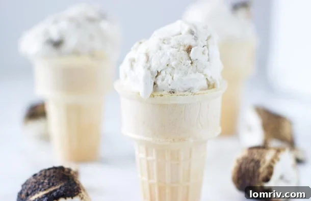 Close-up of Coconut Marshmallow Fluff Ice Cream scoop