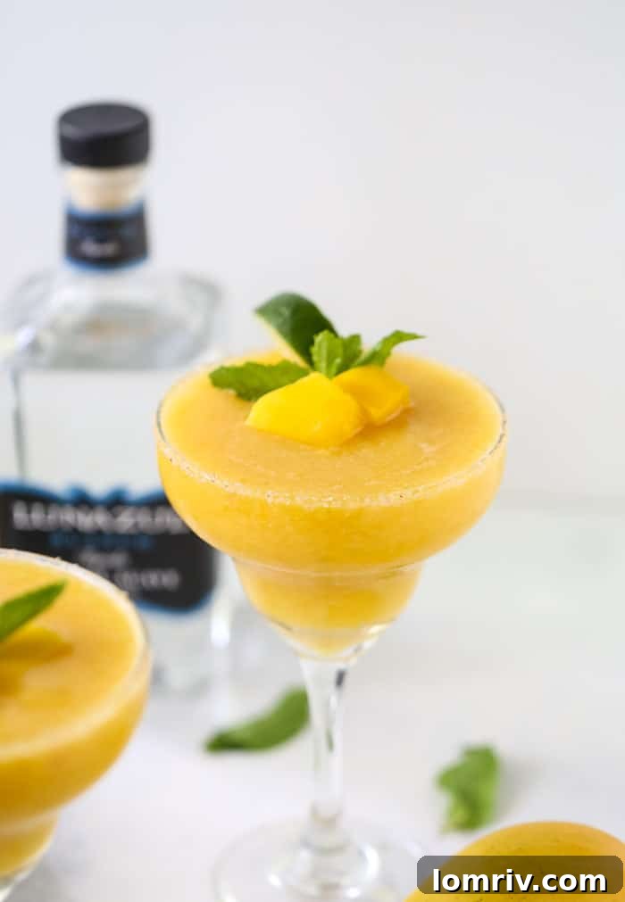 Ingredients for Mango Margaritas, including Nielsen-Massey extracts