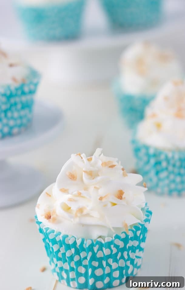 Light and airy coconut angel food cupcakes are topped with a coconut whipped cream frosting, garnished with toasted coconut flakes