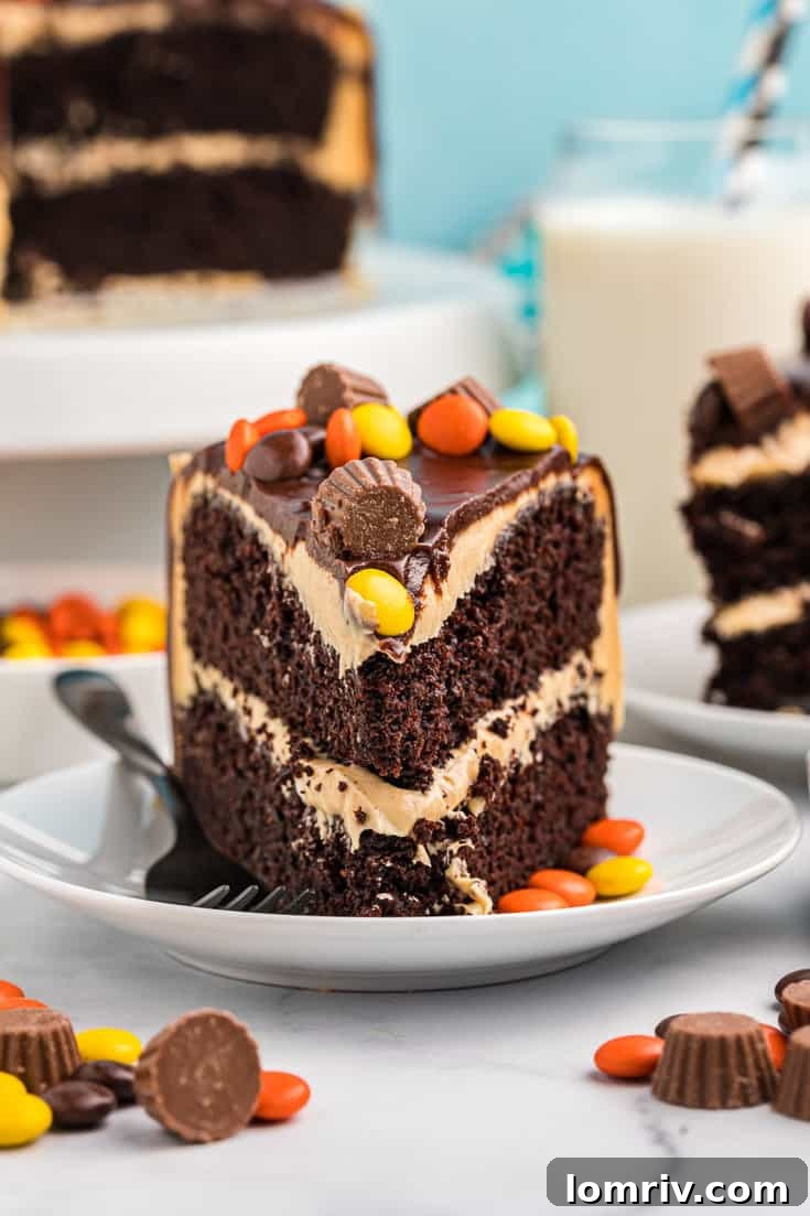Chocolate Peanut Butter Cake - A Decadent Delight