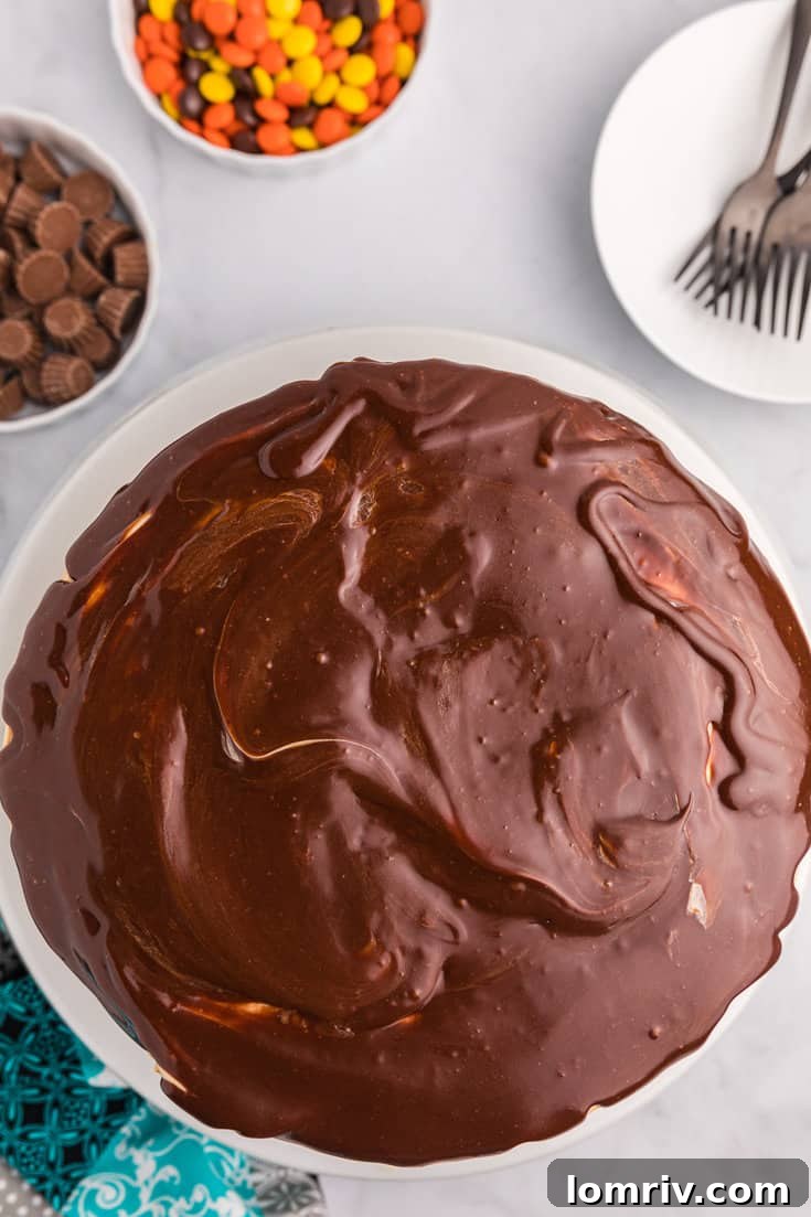 Adding chocolate ganache drizzle to the cake.