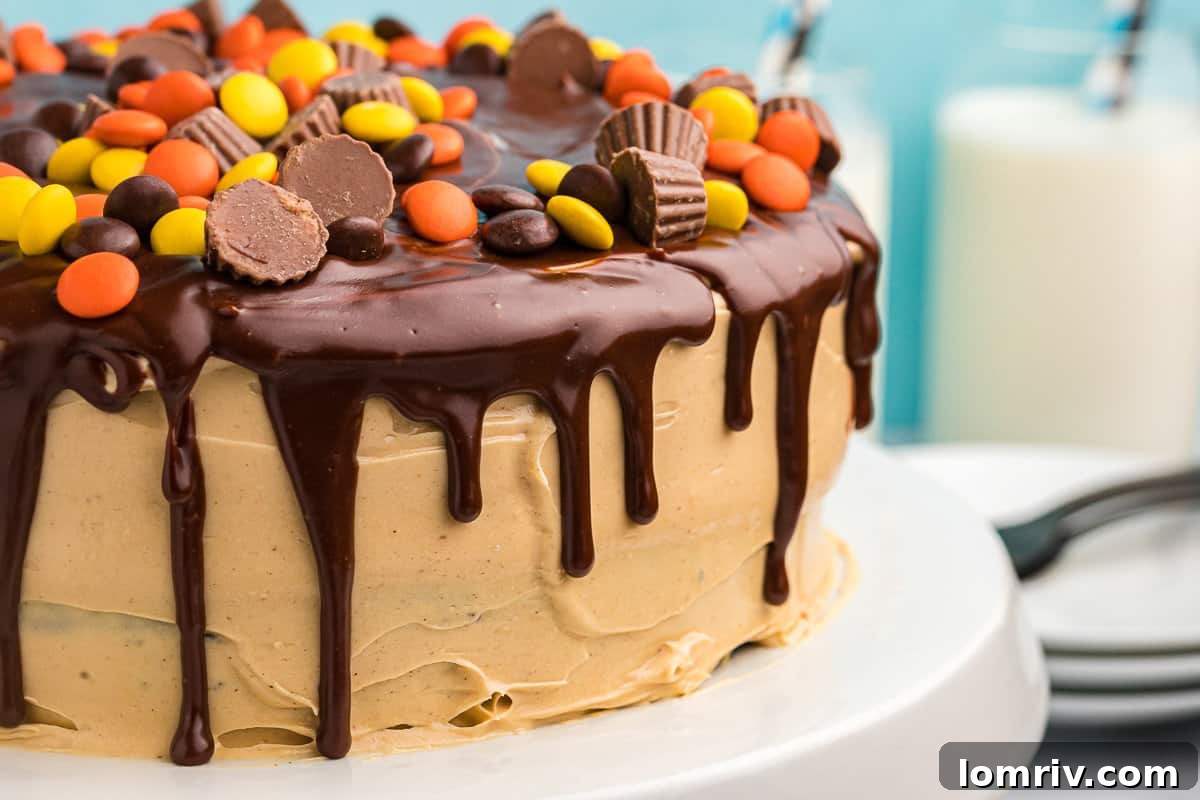 Decorated Chocolate Peanut Butter Cake ready to serve