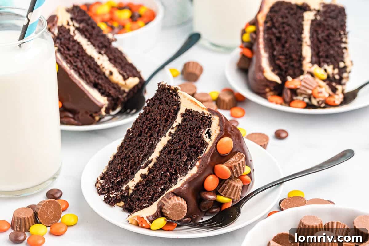 Chocolate Peanut Butter Cake slice ready for storage