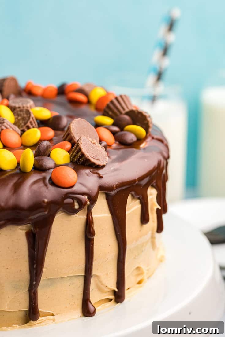 Moist Chocolate Peanut Butter Cake Layers