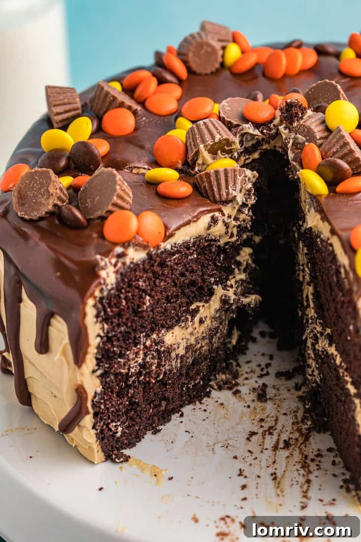Full Chocolate Peanut Butter Cake with Reese's on top