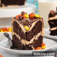Chocolate Peanut Butter Cake