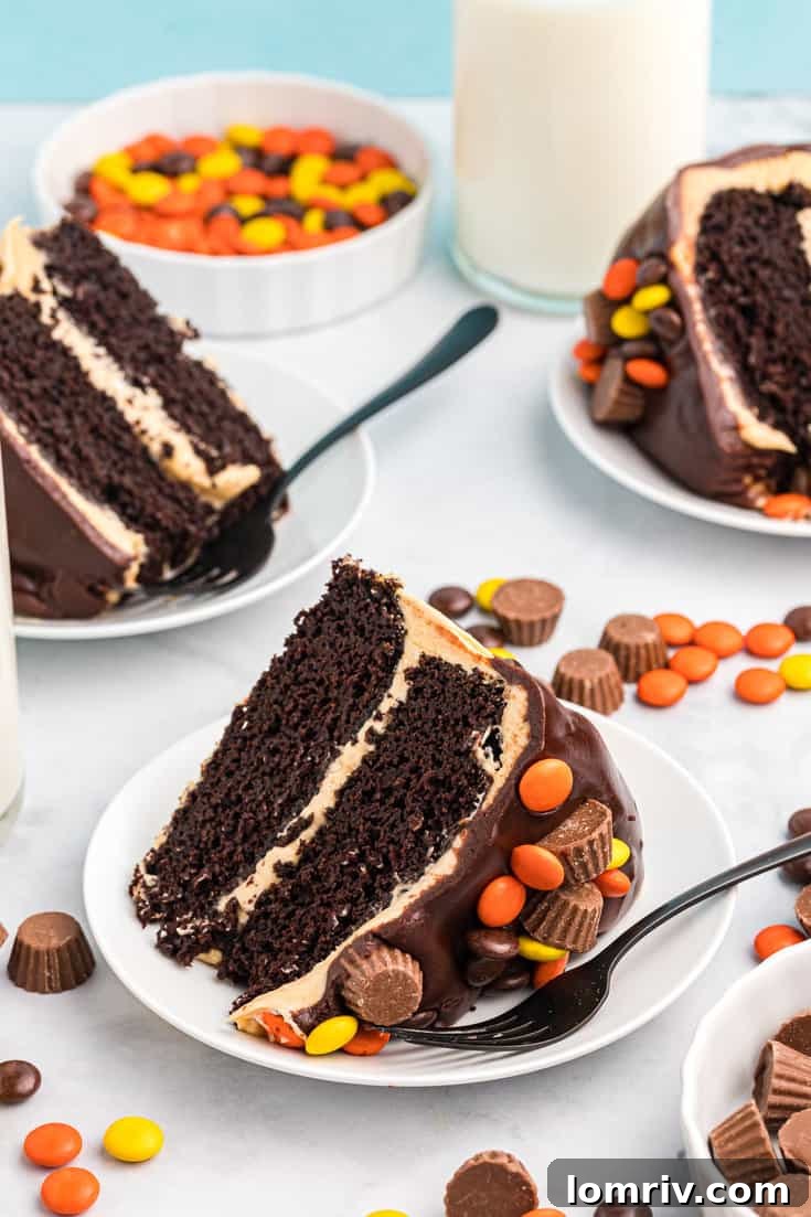 Rich Peanut Butter Frosting on Chocolate Cake