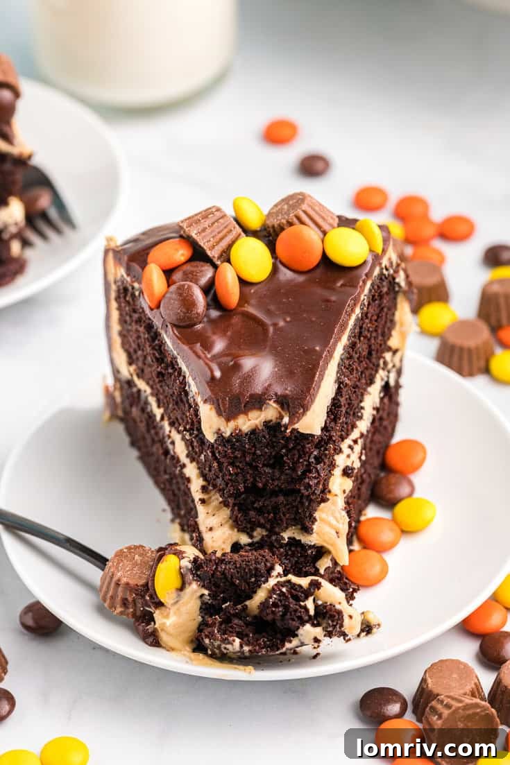 Chocolate Ganache Drizzle on Peanut Butter Cake