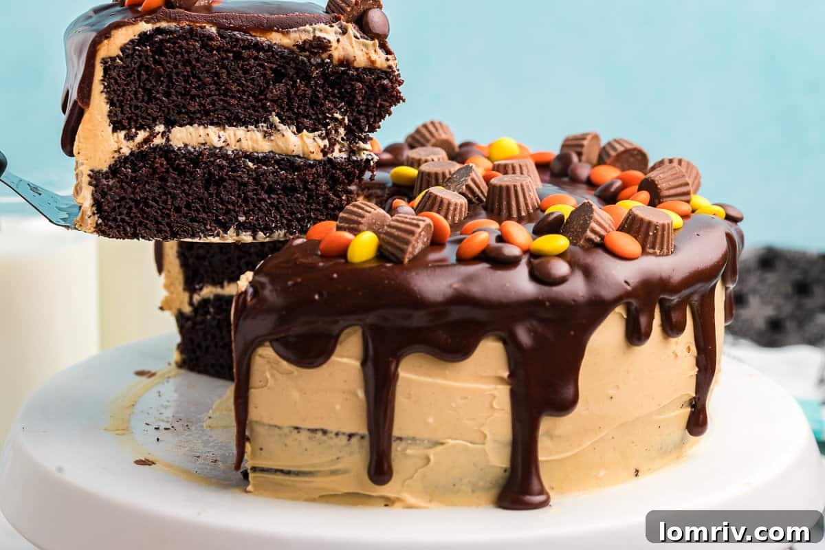 Slice of Chocolate Peanut Butter Cake with Reese's